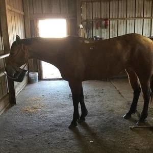 Meet your Posher, Adan